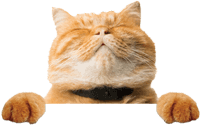 aHR0cHM6Ly9tbWJpei5xbG9nby5jbi9tbWJpei95cVZBcW9adkRpYkZwcERLZlpBMFozOE91VkZ1cUpkdkJYY0NqSnh3aWJVQVR3NjQzbXZxeXdvbjRaTE45NmdpYnBUbFdLTmZ5UUhRRUo0UjBIV1ZhakFBUS8wP3d4X2ZtdD1wbmc=.png aHR0cHM6Ly9tbWJpei5xbG9nby5jbi9tbWJpei95cVZBcW9adkRpYkZwcERLZlpBMFozOE91VkZ1cUpkdkJYY0NqSnh3aWJVQVR3NjQzbXZxeXdvbjRaTE45NmdpYnBUbFdLTmZ5UUhRRUo0UjBIV1ZhakFBUS8wP3d4X2ZtdD1wbmc=.png