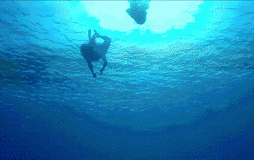 2.gif