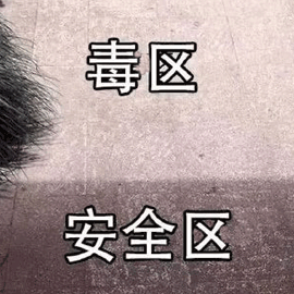 12.gif