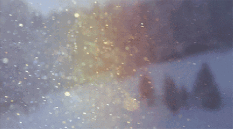 1.gif