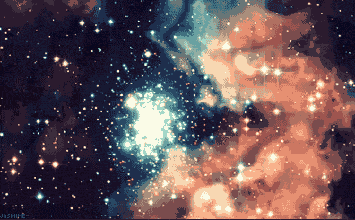 1.gif